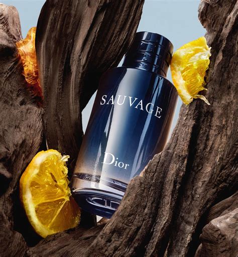 диор sauvage eau de toilette